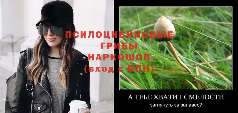 Галлюциногенные грибы Magic Shrooms  наркошоп  площадка как зайти  Мыски 